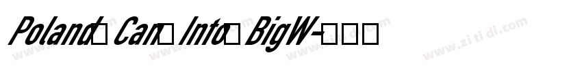 Poland Can Into BigW字体转换